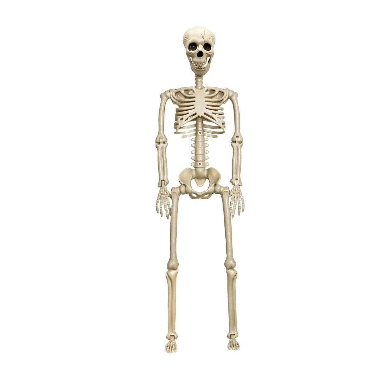 Halloween Skeleton 12 Adjustable Joints Weather-Resistant