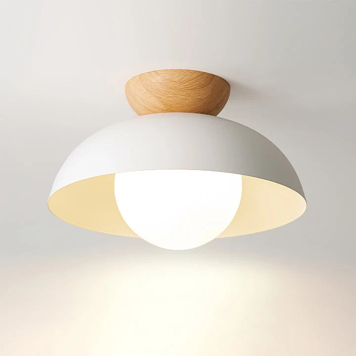 Hallway Ceiling Light Dome Flush Mount Continuous Lighting