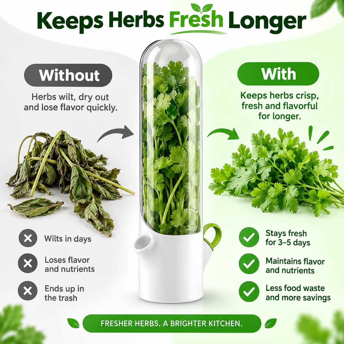 Herb Keeper Fresh Herb Storage Organizer