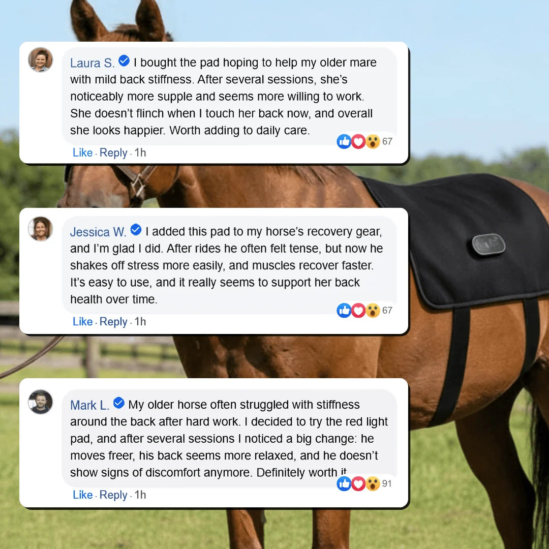 Horse Back Wrap LED Red Light Therapy Rechargeable Cordless