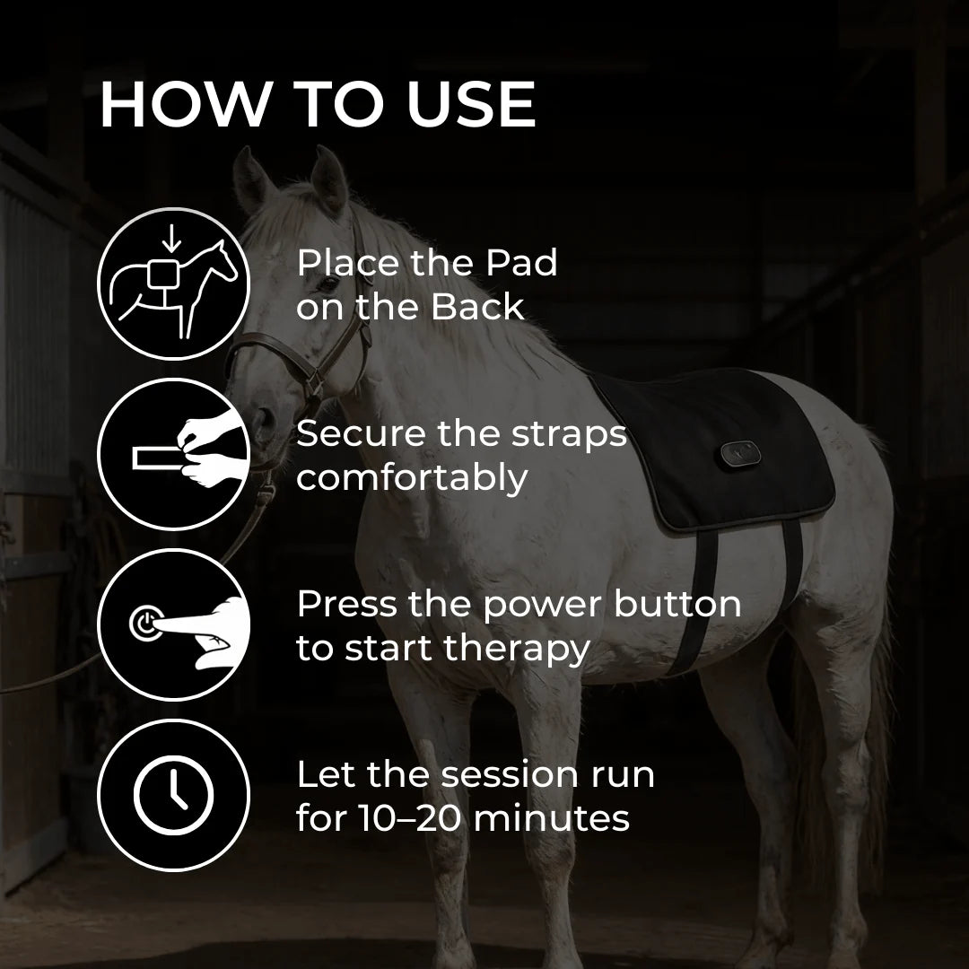 Horse Back Wrap Red Light Therapy Adjustable Rechargeable Cordless