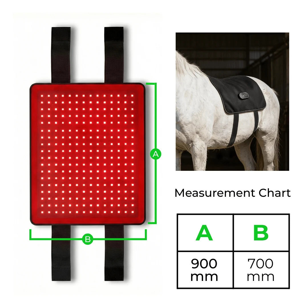 Horse Back Wrap Red Light Therapy Adjustable Rechargeable Cordless