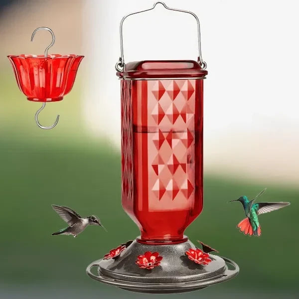 Hummingbird Feeder Clear Glass Ant Moat 24 Oz Capacity