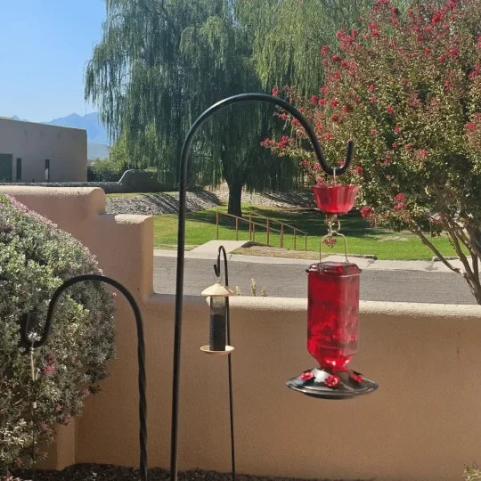 Hummingbird Feeder Clear Glass Ant Moat 24 Oz Capacity