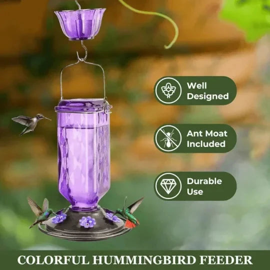 Hummingbird Feeder Clear Glass Ant Moat 24 Oz Capacity