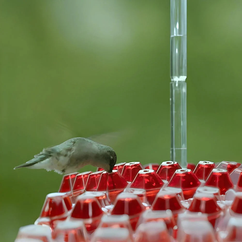 Hummingbird Feeder Multi-Port Clear Reservoir & Easy-Clean