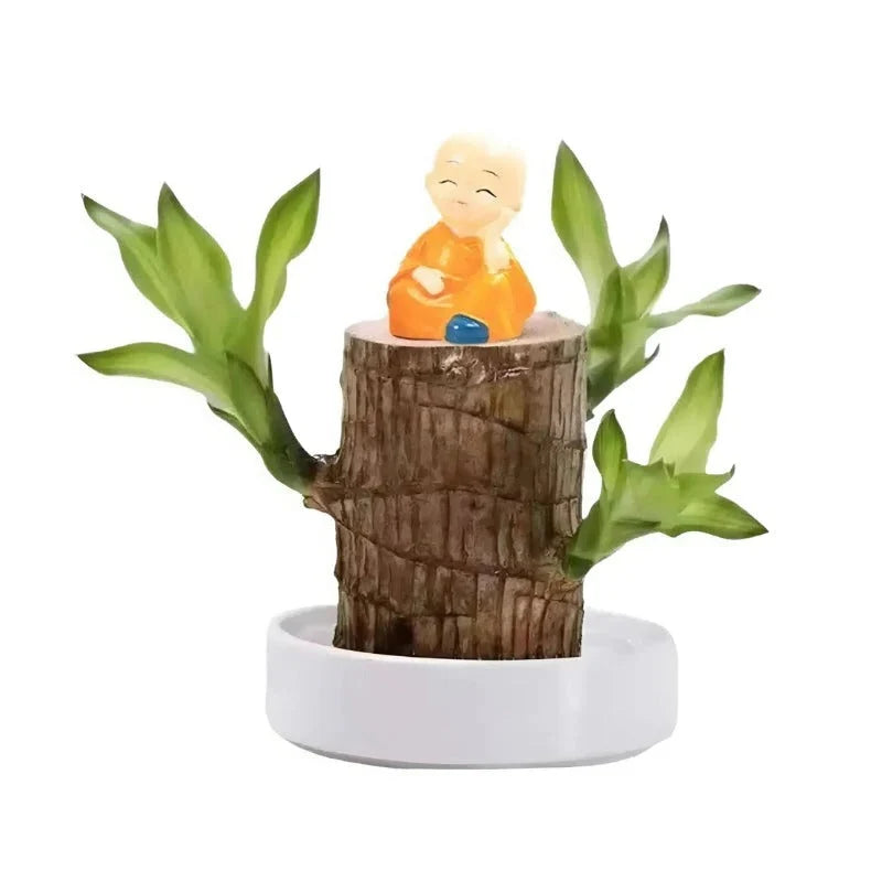 Indoor Plant Low-Maintenance Air-Purifying With Small Pot
