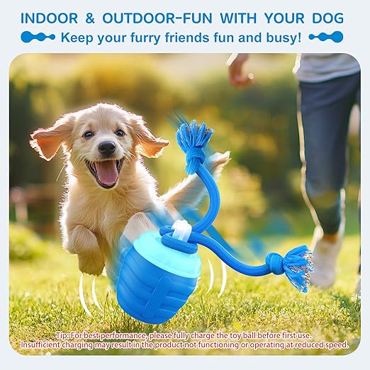 Interactive Dog Ball Motion-Activated USB Rechargeable 3 Play Modes