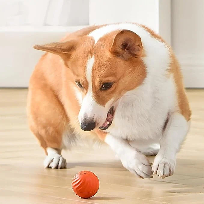 Interactive Dog Toy Rechargeable Unpredictable Motion & Obstacle Sensing