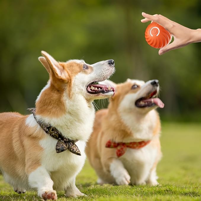 Interactive Dog Toy Rechargeable Unpredictable Motion & Obstacle Sensing