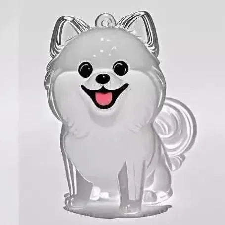 Keychain Pet Fur Keepsake Clear Capsule