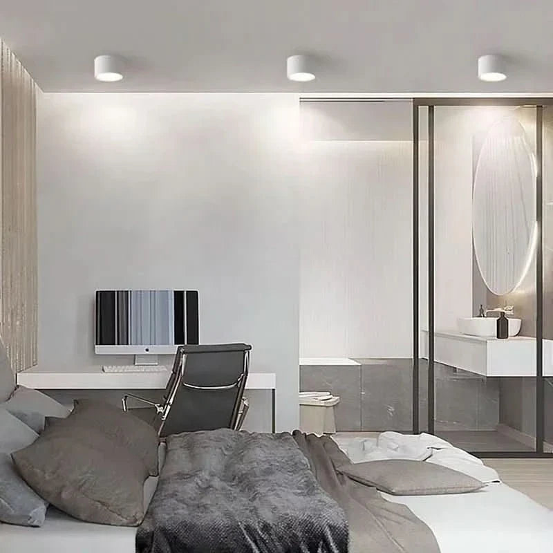 LED Ceiling Light Modern Design Selectable Color Temperature
