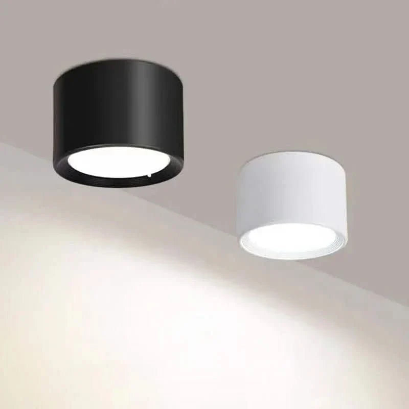 LED Ceiling Light Modern Design Selectable Color Temperature