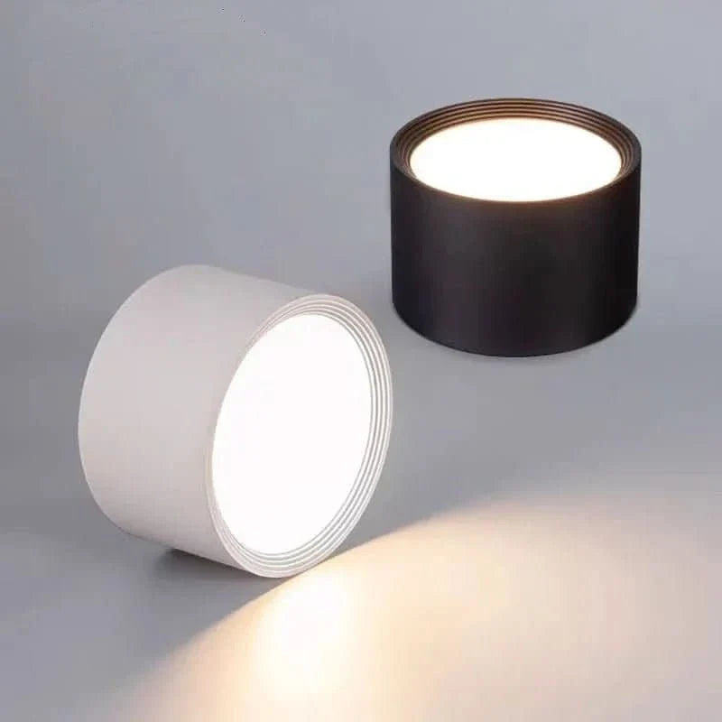 LED Ceiling Light Modern Design Selectable Color Temperature