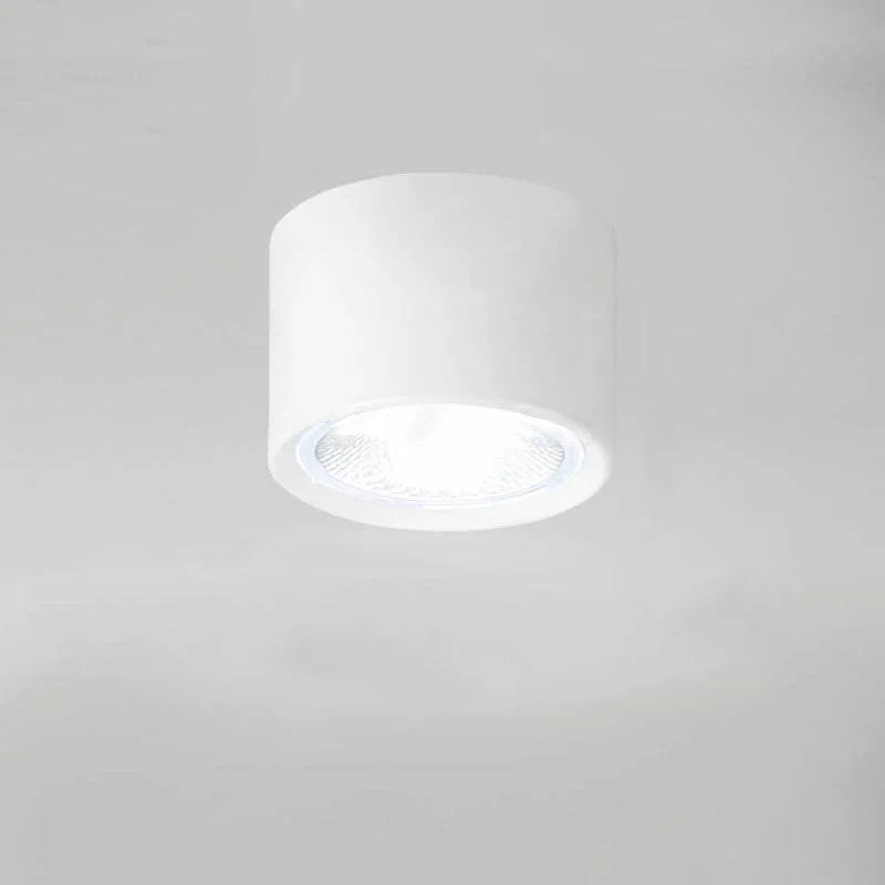 LED Ceiling Spotlight Adjustable Rotating Head Flush Mount