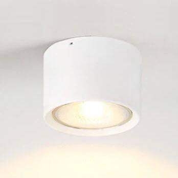 LED Ceiling Spotlight Adjustable Rotating Head Flush Mount