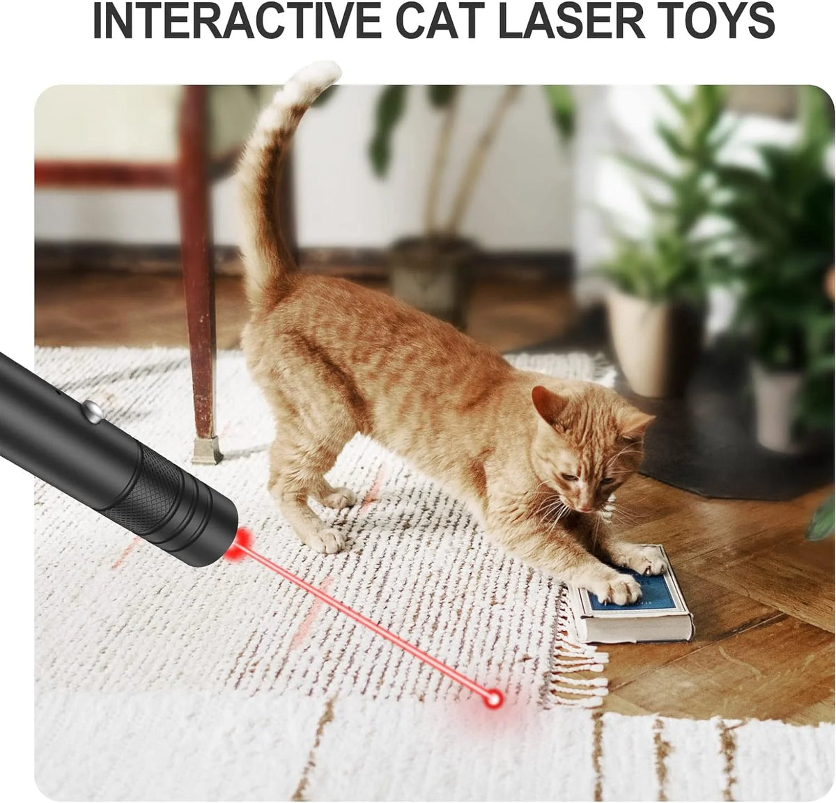 Laser Pointer Long-Range Starry & Focused USB Rechargeable