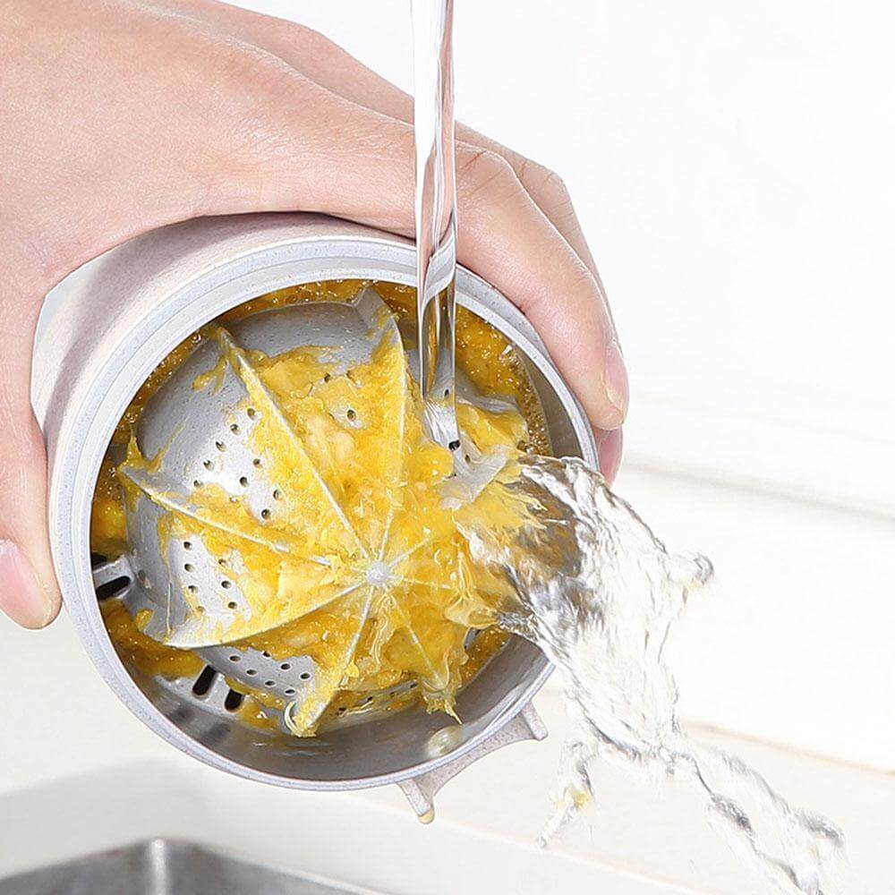 Manual Juicer Compact Two-Way Press Pulp Filter