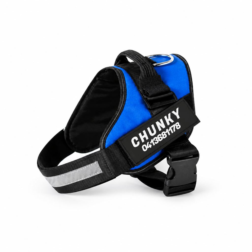 No-Pull Ergonomic Reflective Dog Harness (Personalized)