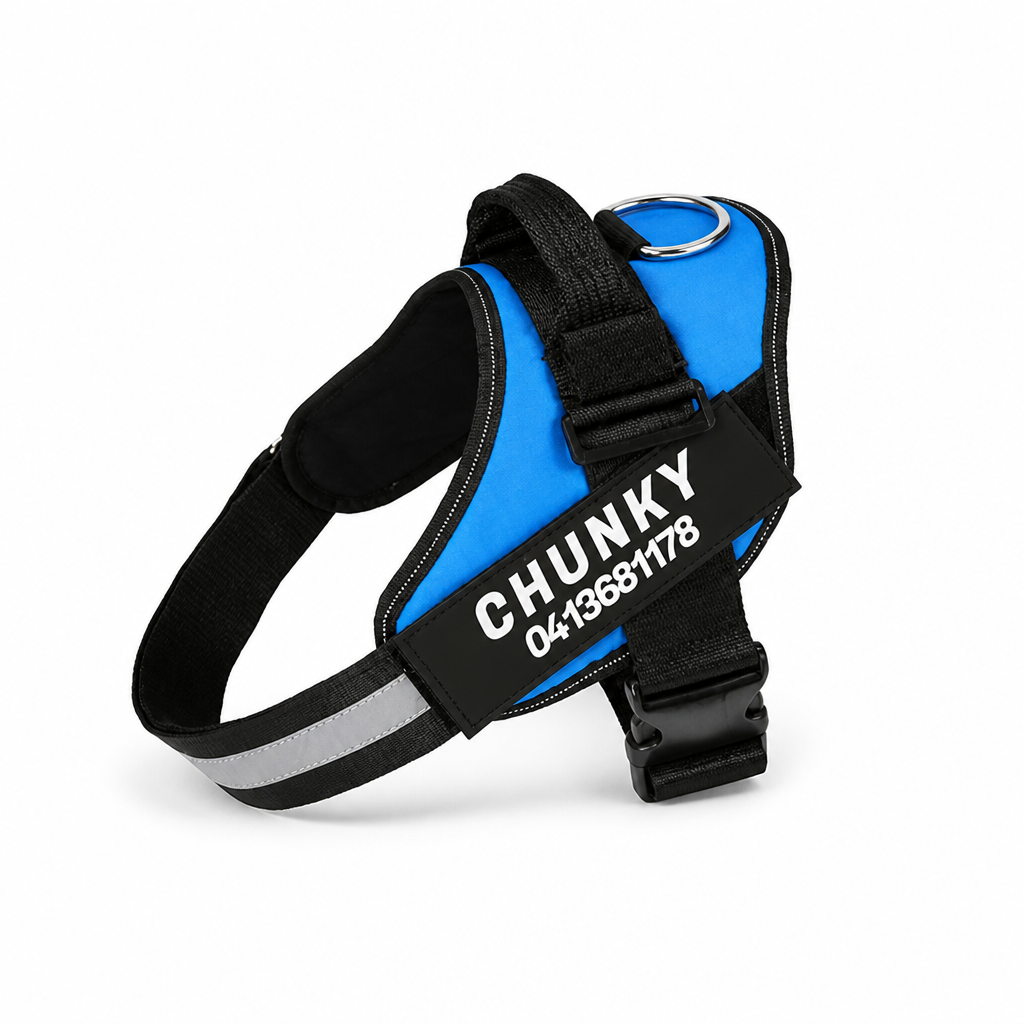 No-Pull Ergonomic Reflective Dog Harness (Personalized)