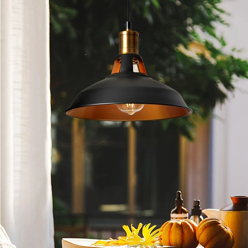 Pendant Light Deep Metal Shade & Adjustable Drop