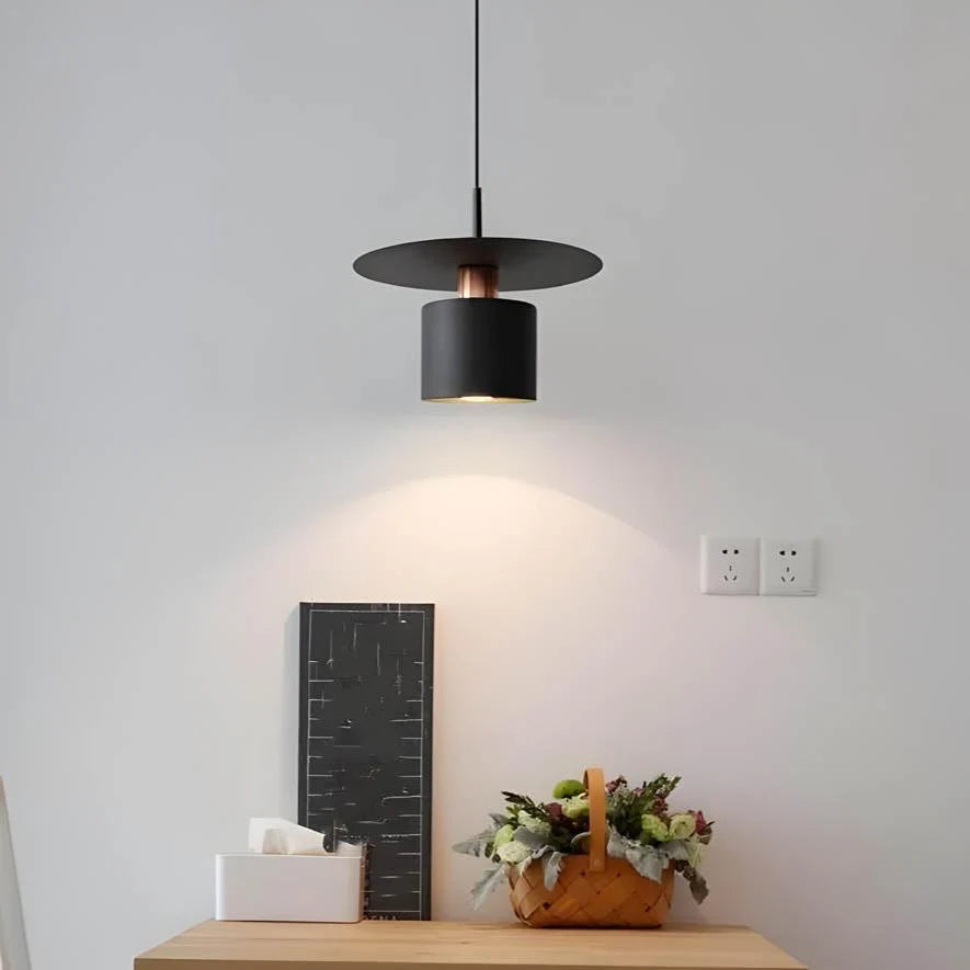 Pendant Light Integrated LED & Adjustable Cord Drop Two Sizes