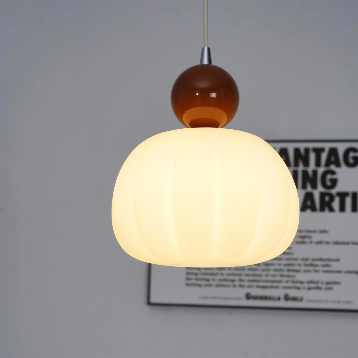 Pendant Light Organic Acrylic Satin Shade Adjustable Drop