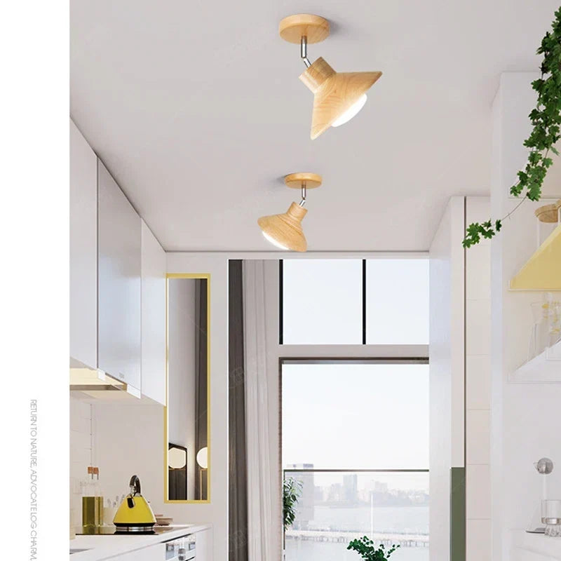 Pendant Light Solid Timber Cone Focused Downlight
