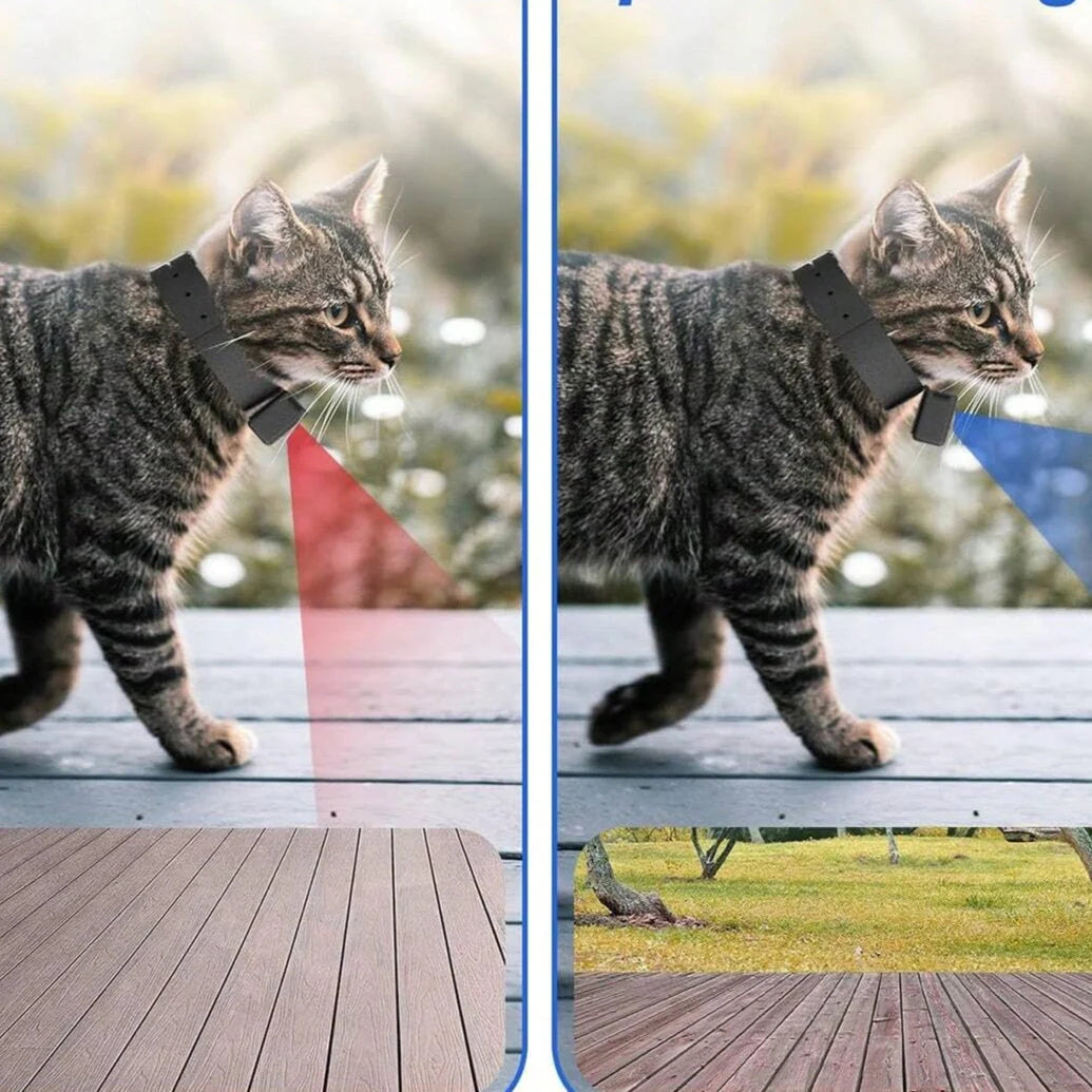 Pet Camera 1080P 160° Wide-Angle Collar-Mounted