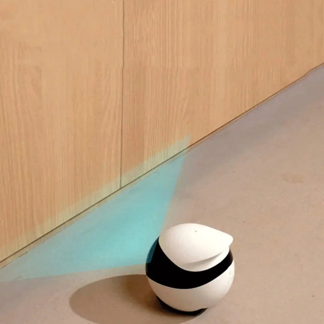 Pet Camera Robot App-Controlled 1080p HD Night Vision