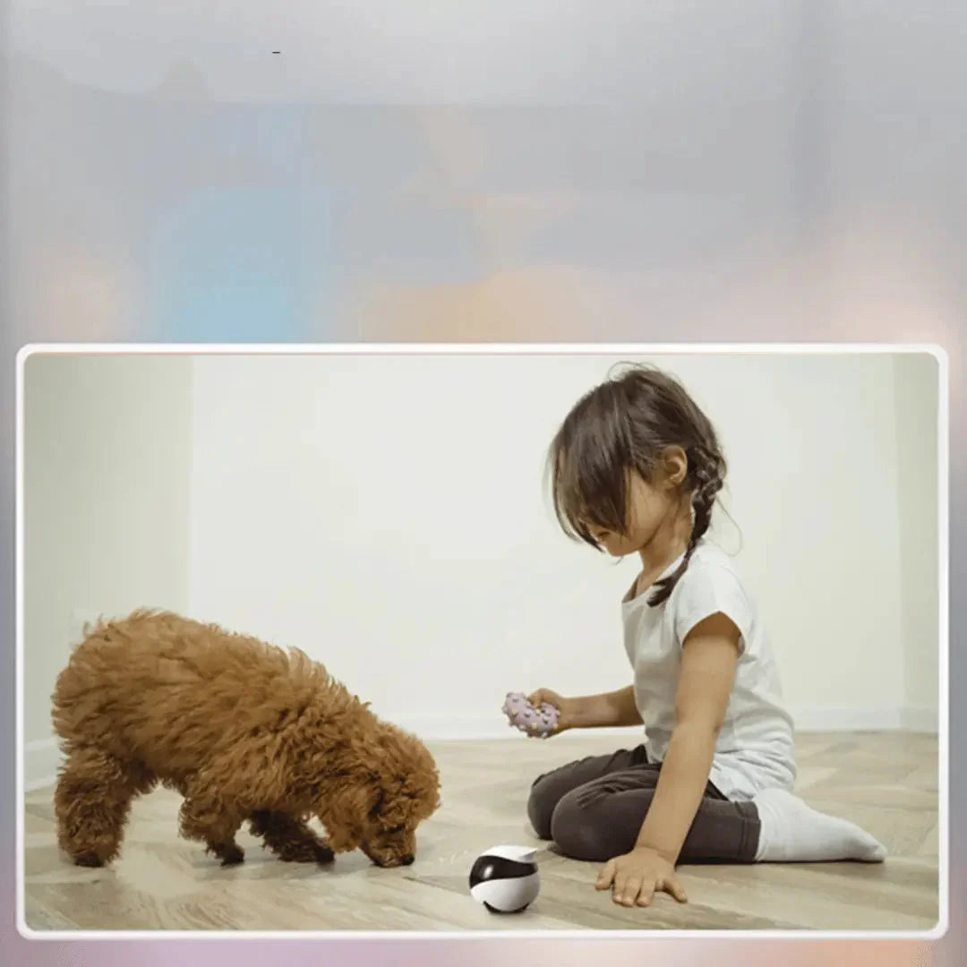 Pet Camera Robot App-Controlled 1080p HD Night Vision