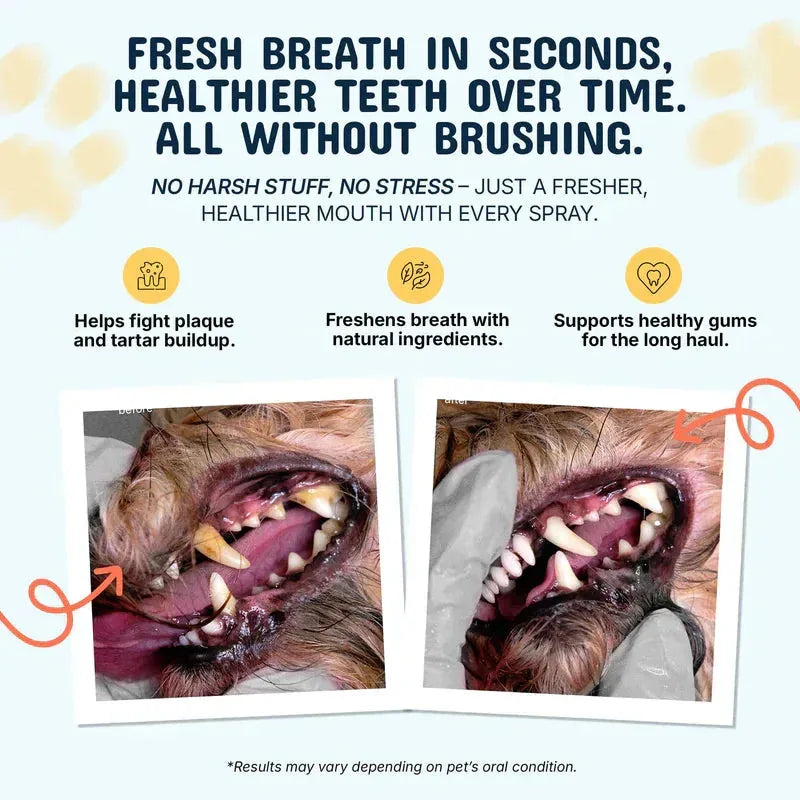 Pet Dental Spray Tartar Care Set of 2