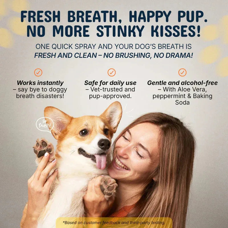 Pet Dental Spray Tartar Care Set of 2