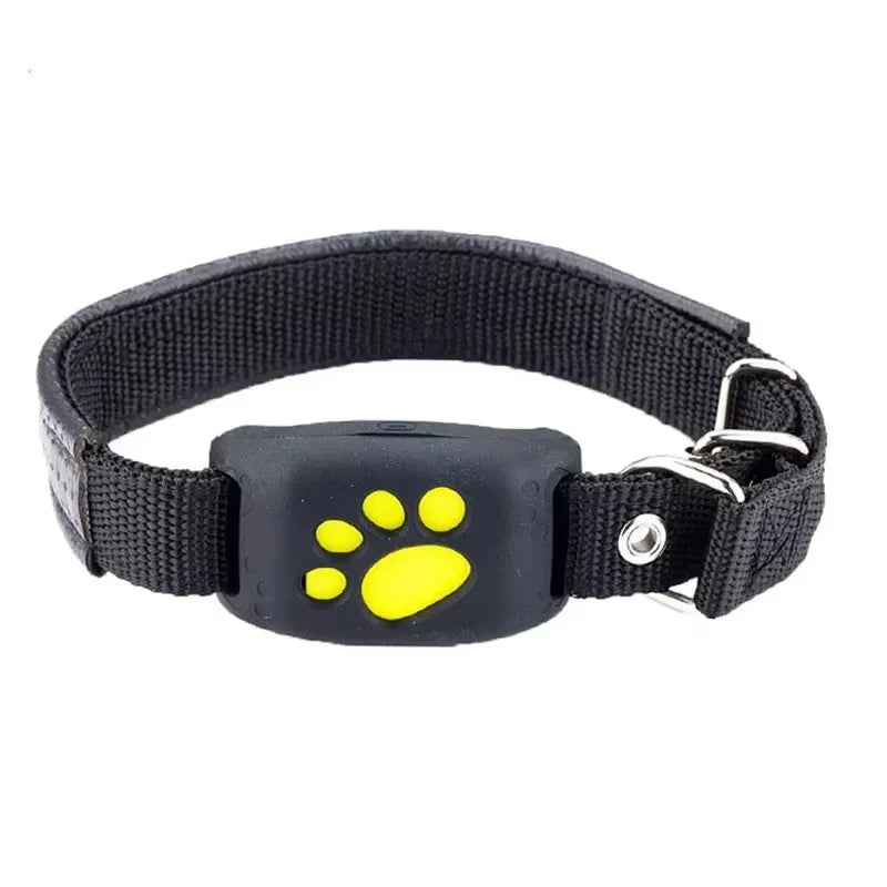 Pet GPS Collar Real-Time GPS & Geofence Alerts
