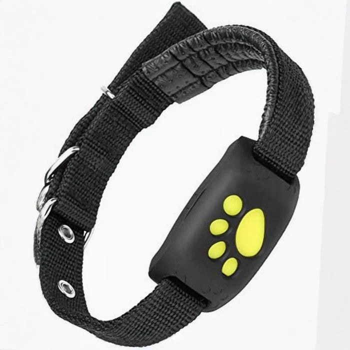 Pet GPS Collar Real-Time GPS & Geofence Alerts