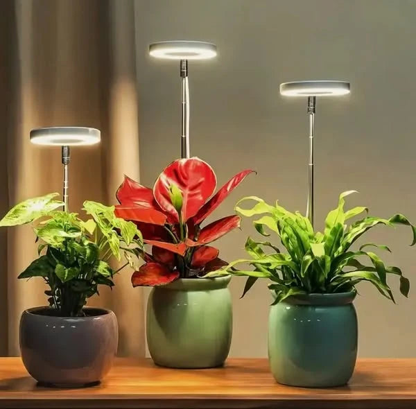 Plant Grow Light Full-Spectrum LED Adjustable Brightness Timer