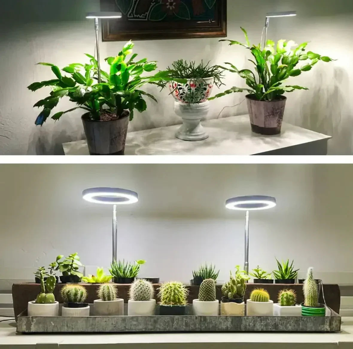 Plant Grow Light Full-Spectrum LED Adjustable Brightness Timer