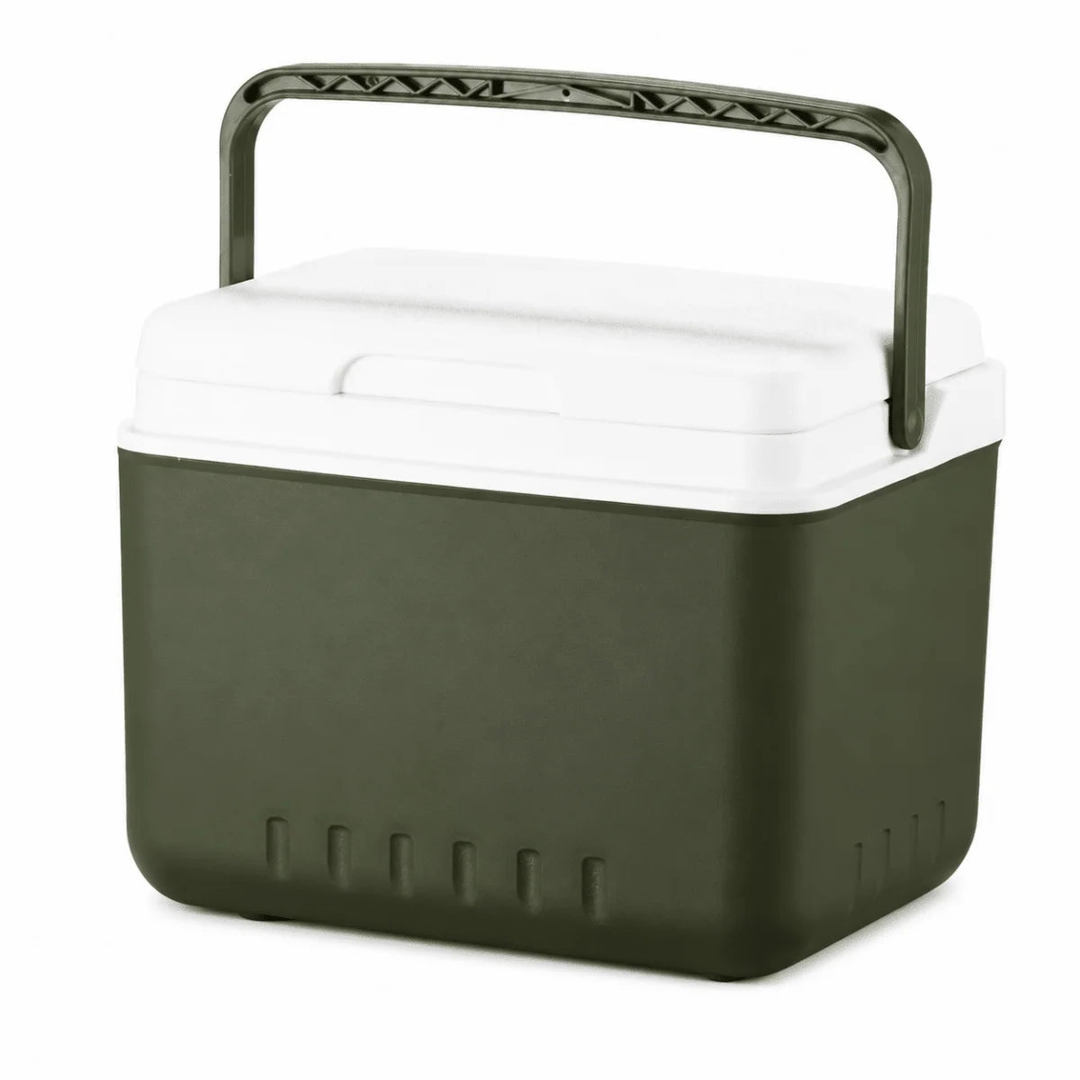Portable Cooler Cooling & Warming For Travel