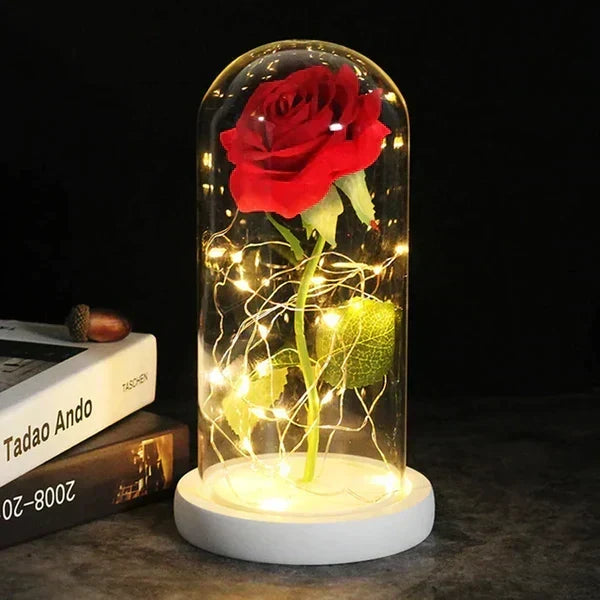 Preserved Rose Display Clear Dome LED Illuminated Base