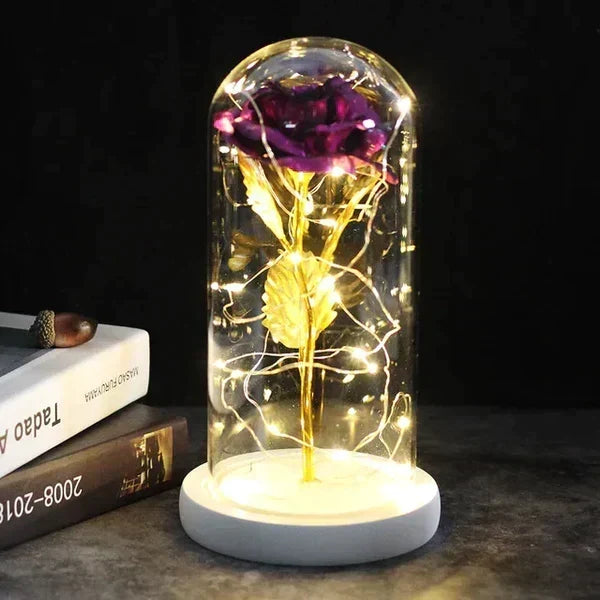 Preserved Rose Display Clear Dome LED Illuminated Base