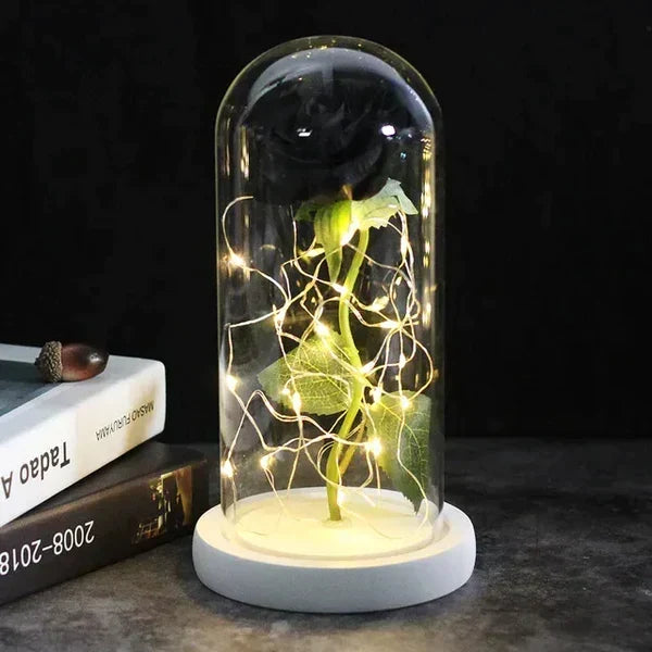 Preserved Rose Display Clear Dome LED Illuminated Base