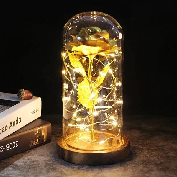 Preserved Rose Display Clear Dome LED Illuminated Base