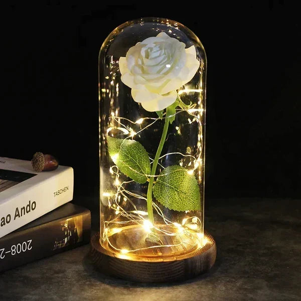 Preserved Rose Display Clear Dome LED Illuminated Base