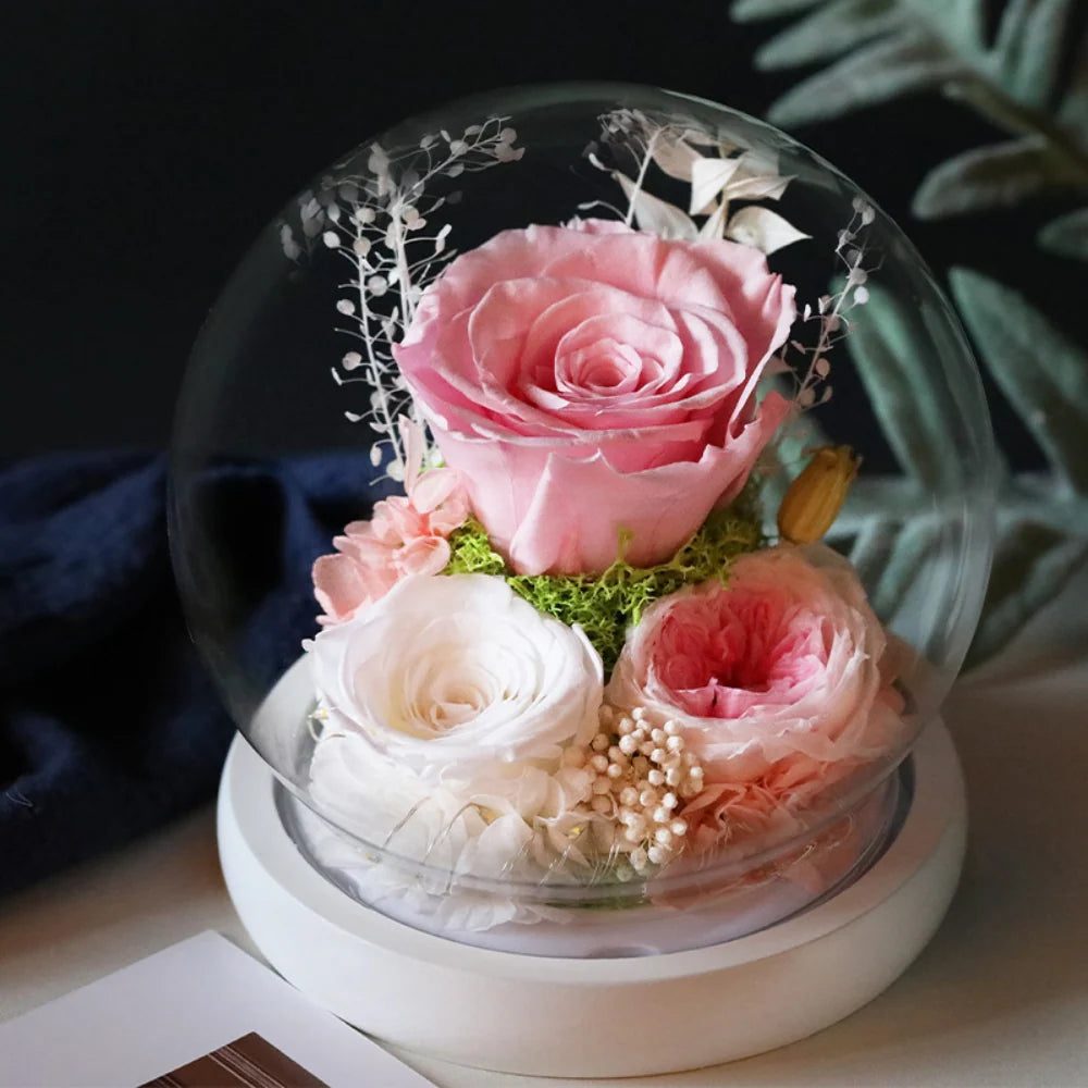 Preserved Rose Dome Warm LED & Battery Powered