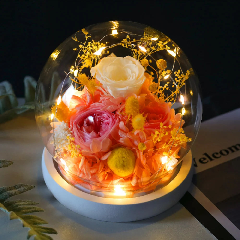 Preserved Rose Dome Warm LED & Battery Powered