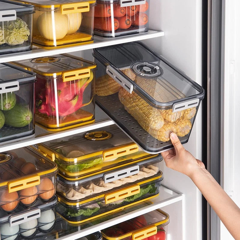 Refrigerator Storage Box Clear Plastic Opening Lid