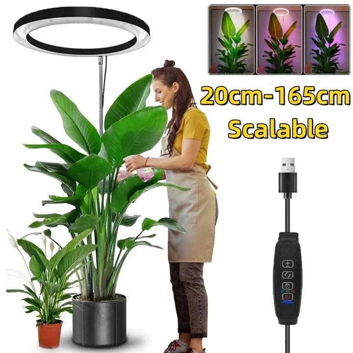 Ring Grow Light 10-Inch Full-Spectrum Telescoping Stand