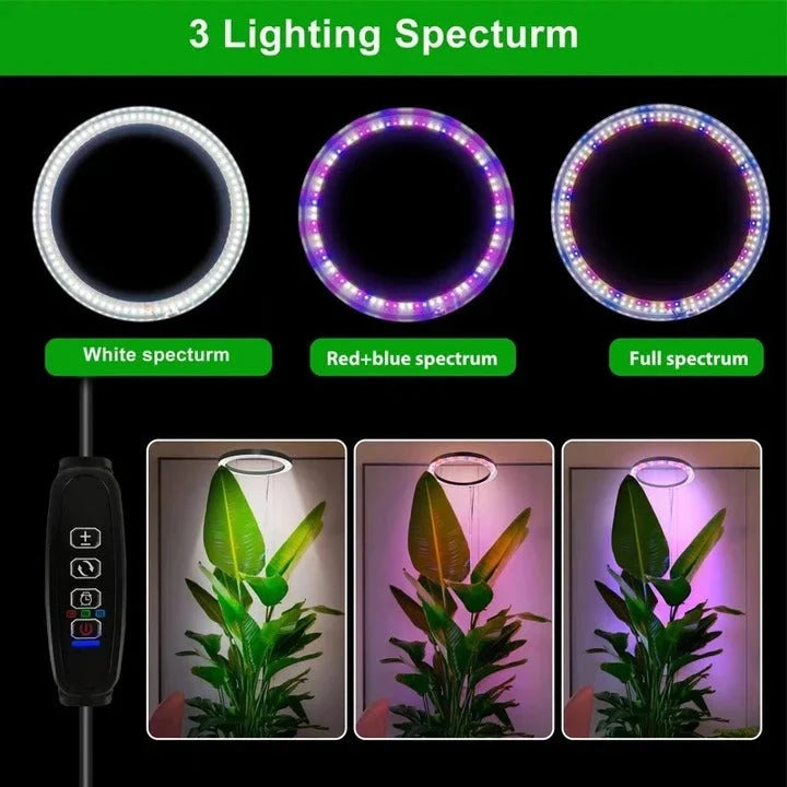Ring Grow Light 10-Inch Full-Spectrum Telescoping Stand