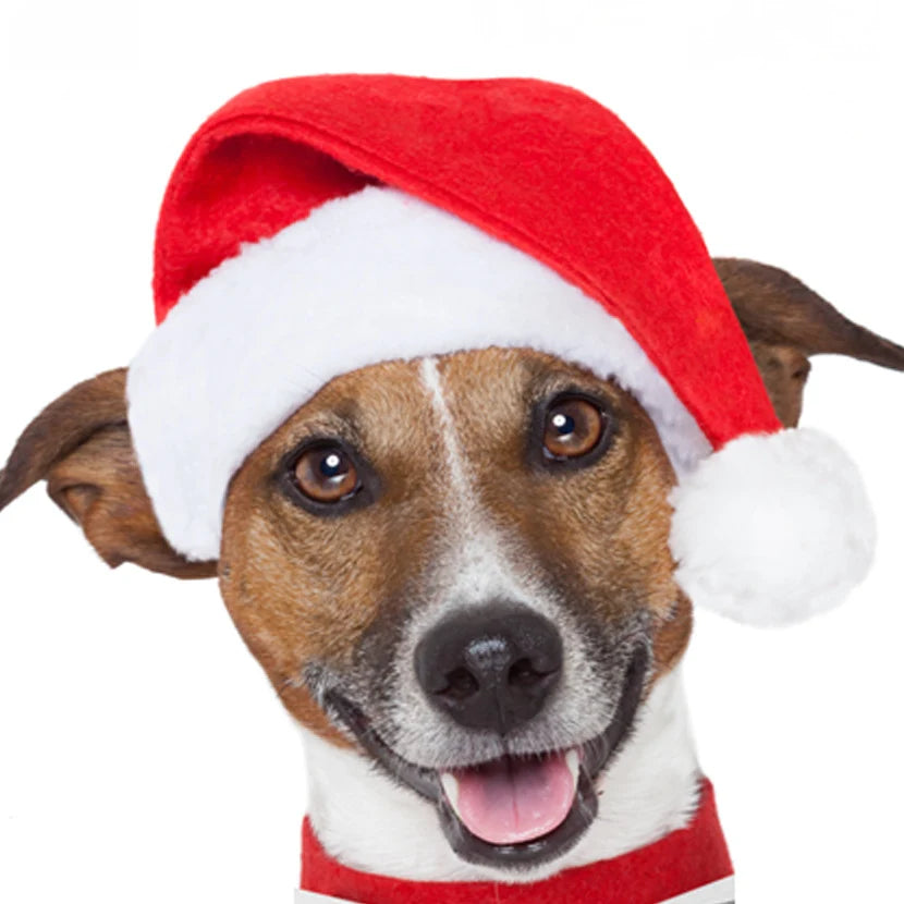 Santa Hat for Dogs Plush Adjustable Fit