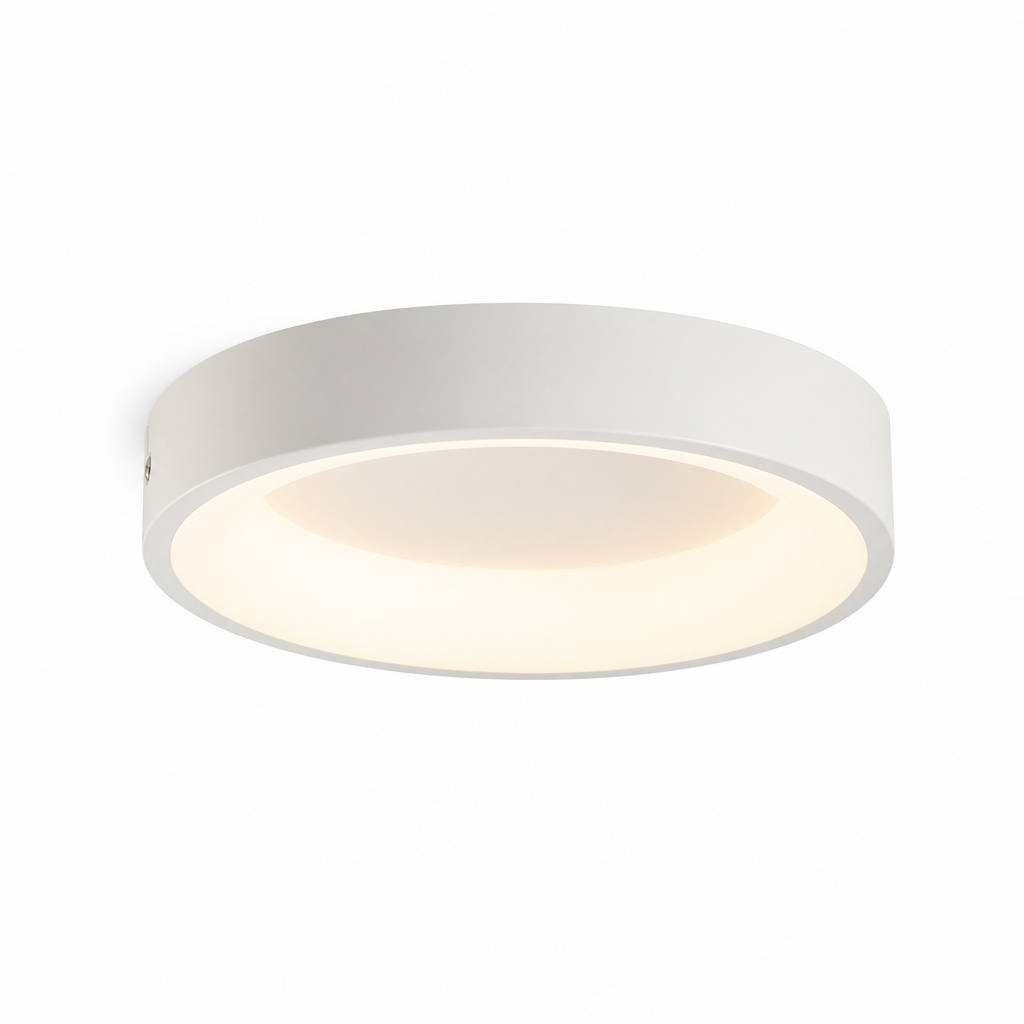 Scandinavian Minimalist Integrated LED Ceiling Light (Multiple Sizes)